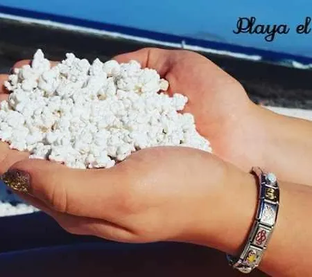 Sea Sounds Willa Corralejo