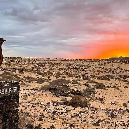 Sea Sounds * Corralejo